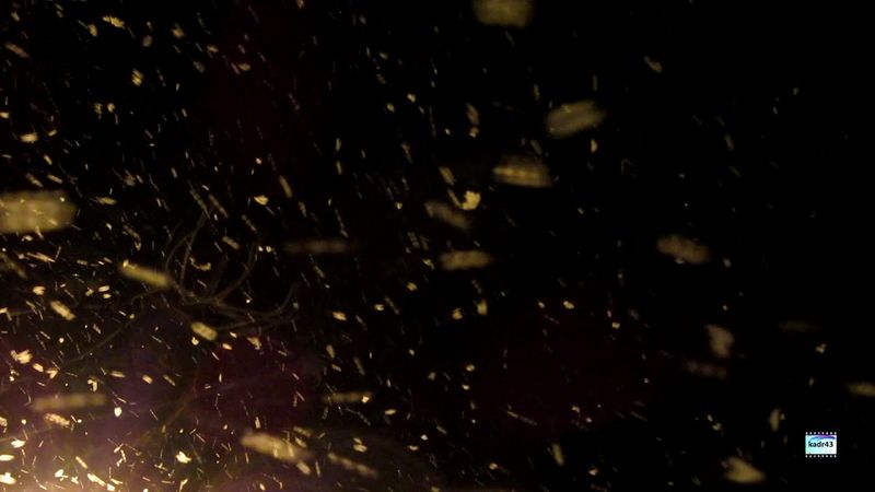 Видеофон "Летящие искры"