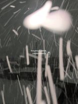 счастливая песня #покамушку #fypppppppppppppppppppppppp 