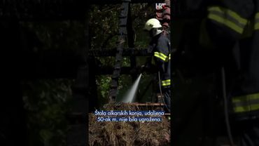 Planula staja u Sinju, izgorjelo sijeno, konji spašeni