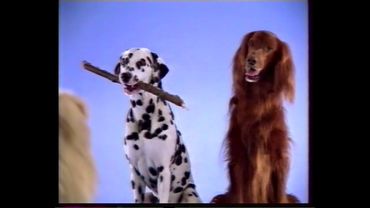 Рекламный блок и анонс (РТР, 29.06.2001) (4)