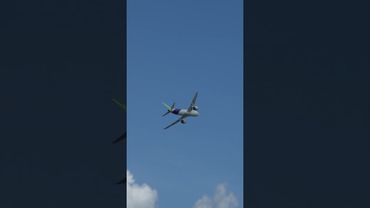 Летевший в Москву самолет подал сигнал бедствия над территорией Грузии