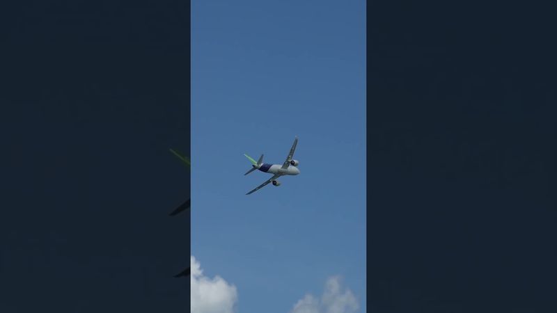 Летевший в Москву самолет подал сигнал бедствия над территорией Грузии