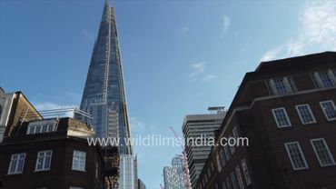 London | The Shard, London Bridge and red double-decker buses