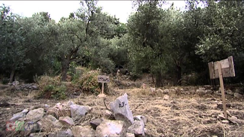 مسلسل ضيعة ضايعة - الجزء الأول ـ الحلقة 23 الثالثة والعشرون كاملة HD - الحظ