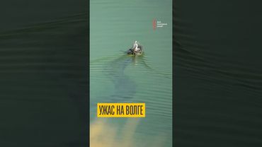 Что творится с рекой