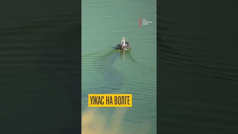 Что творится с рекой