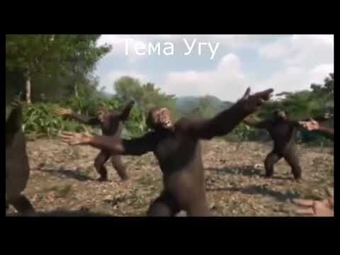 Грибная эра Music be like