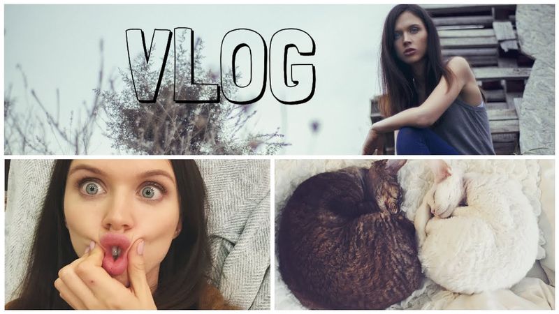 Снимаем обзор iPhone 6 Plus