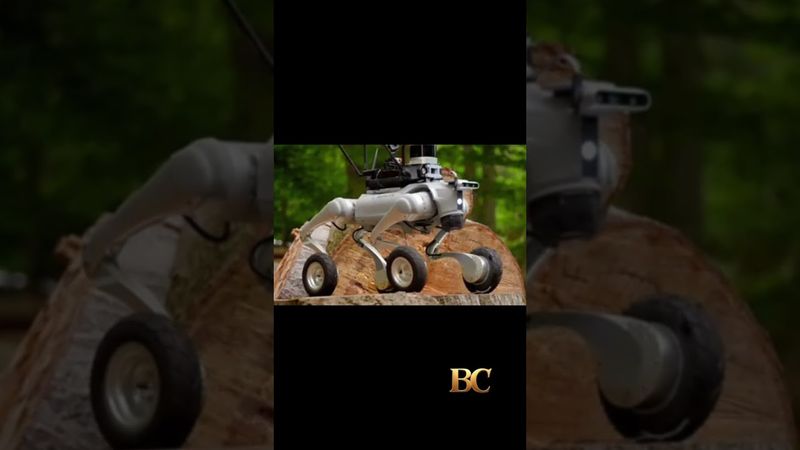 Police test robot dog for potential UK rollout