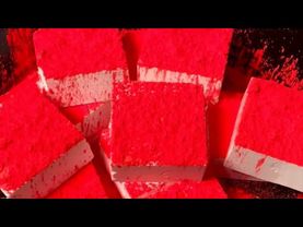 Coral Pigmented Freshies 💕