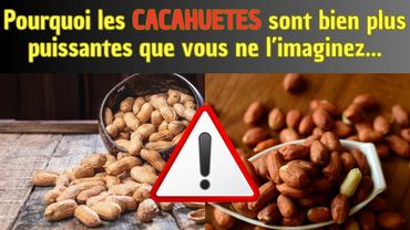 Pourquoi les cacahuètes sont bien plus puissantes que vous ne l’imaginez