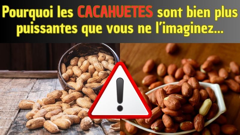 Pourquoi les cacahuètes sont bien plus puissantes que vous ne l’imaginez