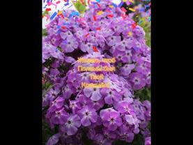 Подруга с днём рождения