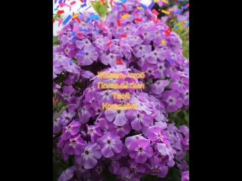 Подруга с днём рождения