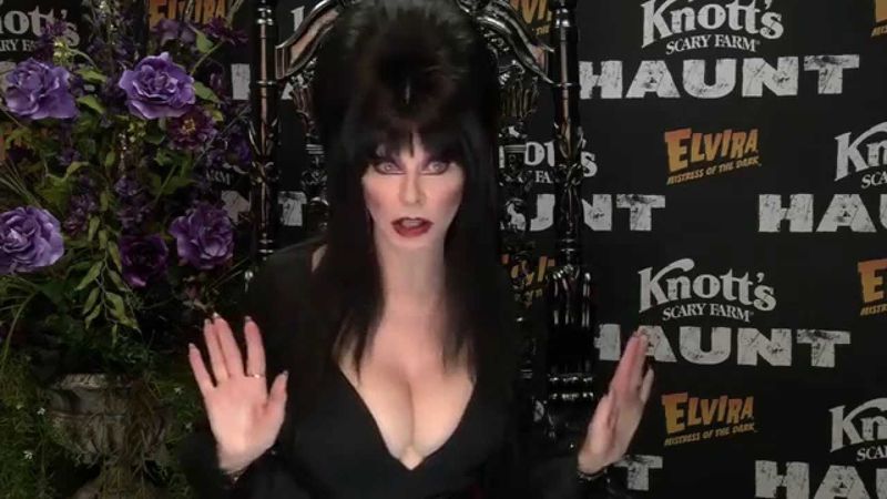 Does Elvira have any pre-show rituals at Knott's Scary Farm?