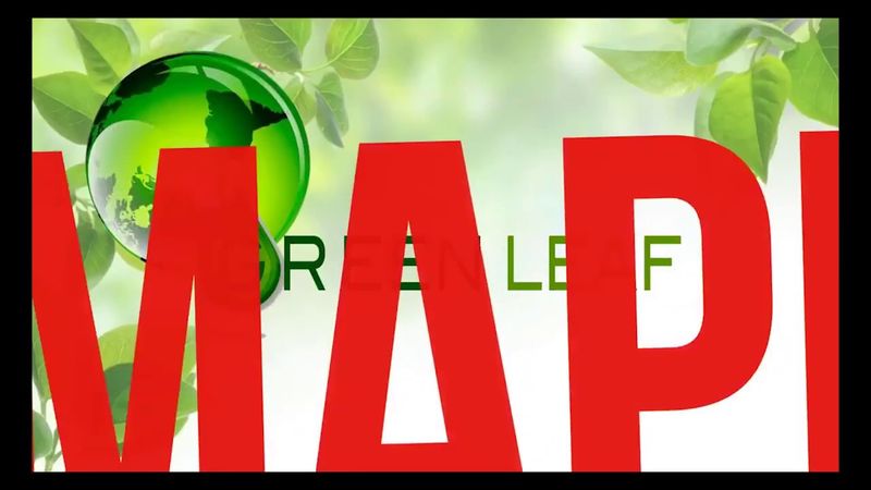Презентация компании  Greenleaf (  " Зеленый лист ")       100% автоматизация  Вашего бизнеса.