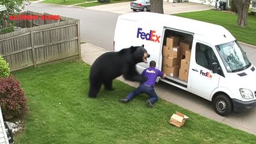 When Everything Goes Wrong in Seconds - Idiots Behind the Wheel Exposed #2