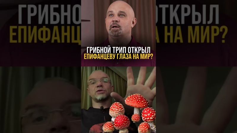 Как мухоморы изменили актера Епифанцева? #психиатр #василийшуров