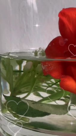 #доброе утро #удачногодня #РахимСнимиНаGalaxy