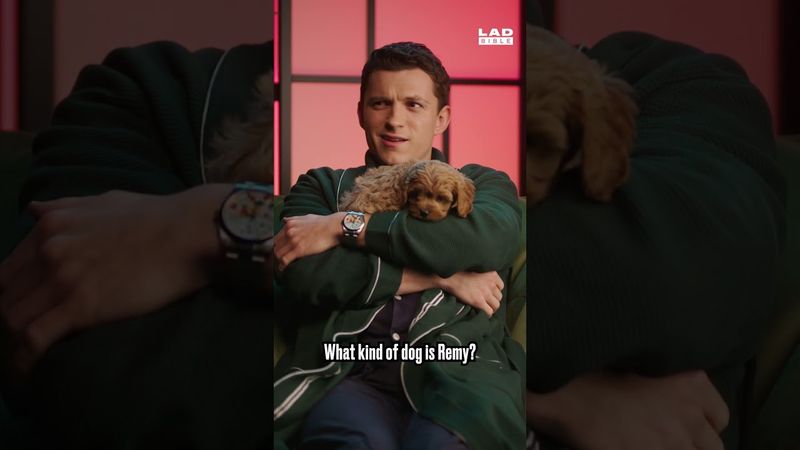 Tom Holland cuddling puppies 🐶🐶🐶