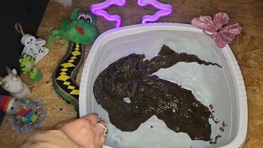 Чистка от змеюк, их заползания в отношения, семейное гнездо🧞‍♂️ и их вредоносного колдовства!!!🧜‍♂️