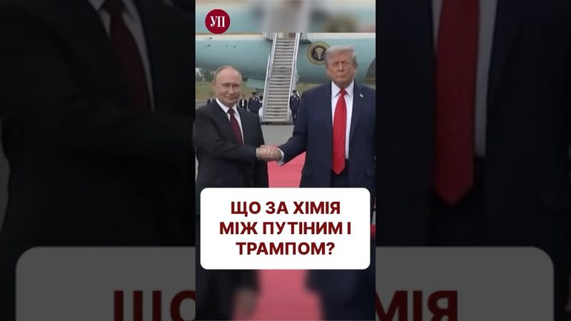 Чи подобаються Трамп і Путін один одному? #переговори