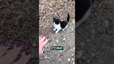 @mamafig1980: Her day didn’t start off so good, but I think she’s feeling just fine now ❤️