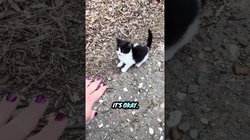 @mamafig1980: Her day didn’t start off so good, but I think she’s feeling just fine now ❤️