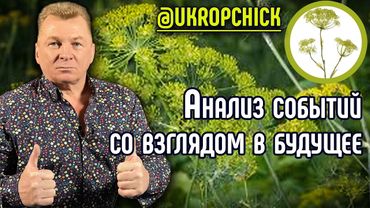 Анализ событий со взглядом в будущее. Укропчик @ukropchick