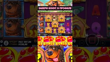 ЗАНОСНАЯ БОНУСКА В THE DOG HOUSE 🏠 🐶🎰😱😱😱 (СОБАКИ СОШЛИ С УМА) #казино #заносы #занос #shorts