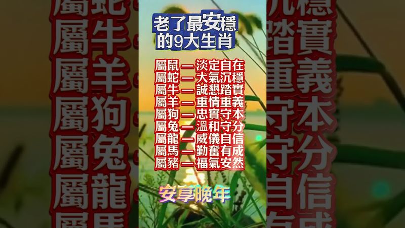 老來最安穩的九大生肖！#生肖 #運勢 #玄學 #風水