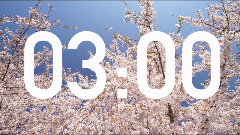 3 Minute Spring Timer with Relaxing Music Countdown (4K)
