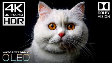 Unforgettable Beauty of 4K Videos - 4K HDR 120fps | Dolby Vision