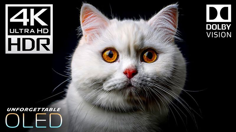 Unforgettable Beauty of 4K Videos - 4K HDR 120fps | Dolby Vision