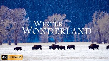 Winter Wonderland 4K - Relaxation Film 4K - طبیعت زیبا و خیره کننده با موسیقی آرامش بخش