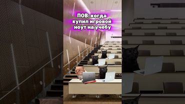 Мам, это точно для учебы🤣 #котята #мемы #жиза #шортс