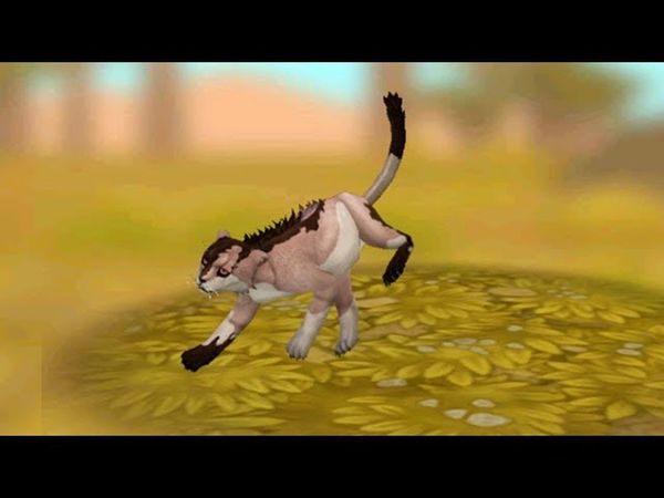 МАЛЕНЬКИЙ ГЕПАРДИК в этот раз девочка WildCraft