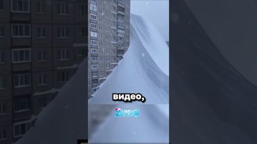 Камчатский нейро-слоп