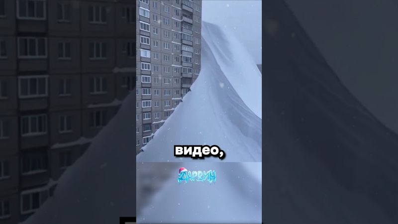 Камчатский нейро-слоп