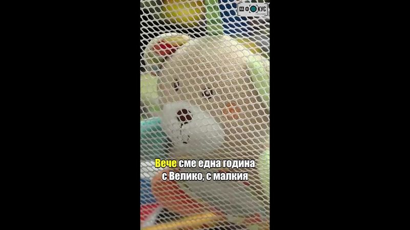 Родителите на Пейо Пеев заживяха заедно с Велико Минков, заради децата #нафокус #nafokus #novatv