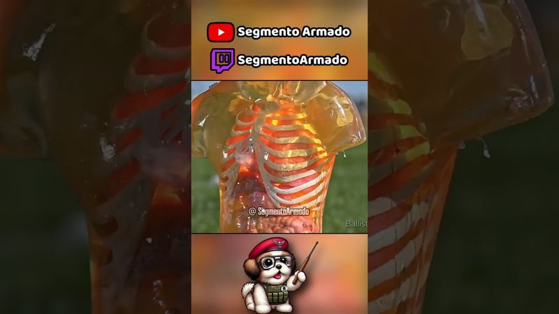 Mitos de las Armas De Fuego: Heridas de Bala #segmentoarmado #shorts #mitos #armas