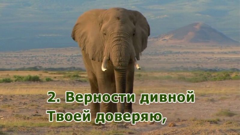 В строфах возвышенных