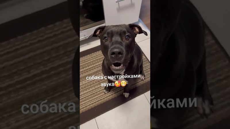 С настройками звука