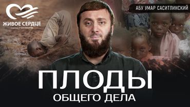 Плоды нашего общего дела | Отчет фонда "Живое Сердце" | Абу Умар Саситлинский