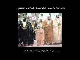 تلاوة رائعة من سورة الأنعام للشيخ ماهر المعيقلي