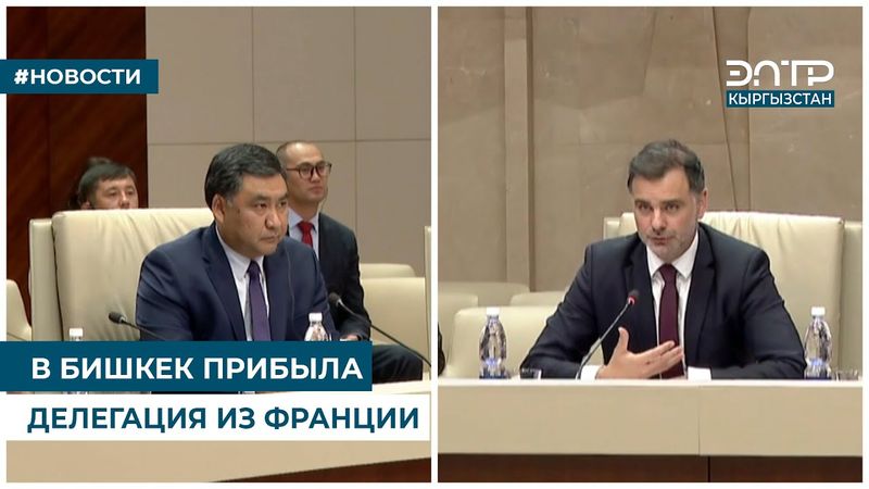 В БИШКЕК ПРИБЫЛА ДЕЛЕГАЦИЯ ИЗ ФРАНЦИИ