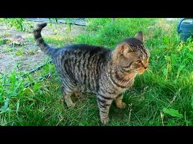 #Славянск. 29 августа 2025г. Вечер.