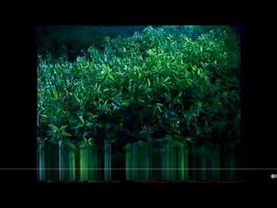 Все рекламные заставки (Первый канал, лето 2003)