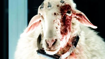 Чужой. Земля - “Безопаснее в космосе” Русский Трейлер (2025) Ной Хоули [4K]