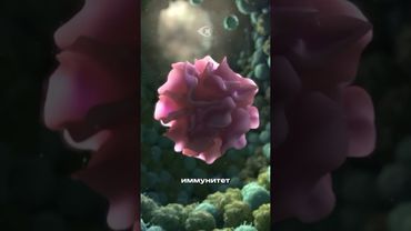 Орган, который перестает работать